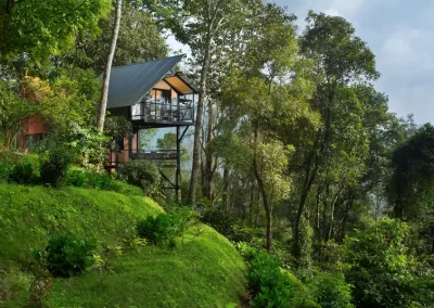 Bamboodale-resort in Munnar