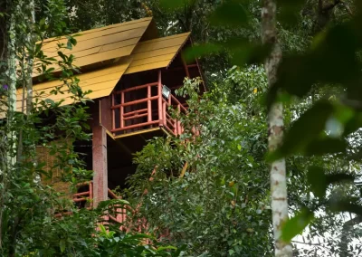 Resort in Munnar