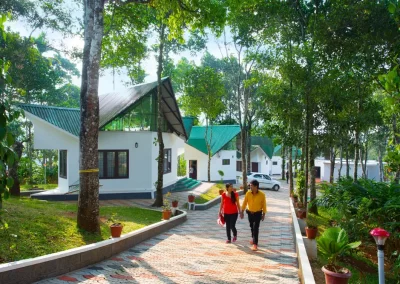 best-resort-in-munnar_