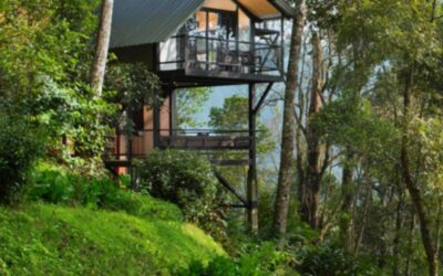 Best Tree House Packages in Kerala: An Unforgettable Escape with Stride Hotels and Resorts