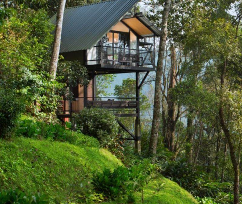 Best Tree House Packages in Kerala: An Unforgettable Escape with Stride Hotels and Resorts