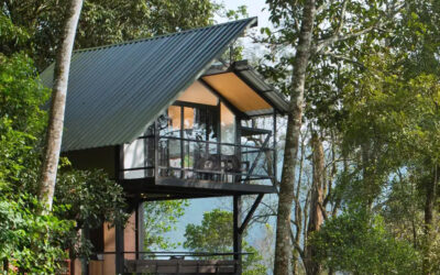 Escape into Nature: Stay at the Best Tree House in Munnar – Bamboo Dale Resort