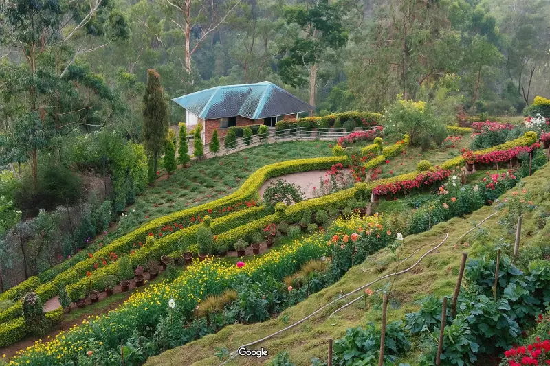 Flower Garden
