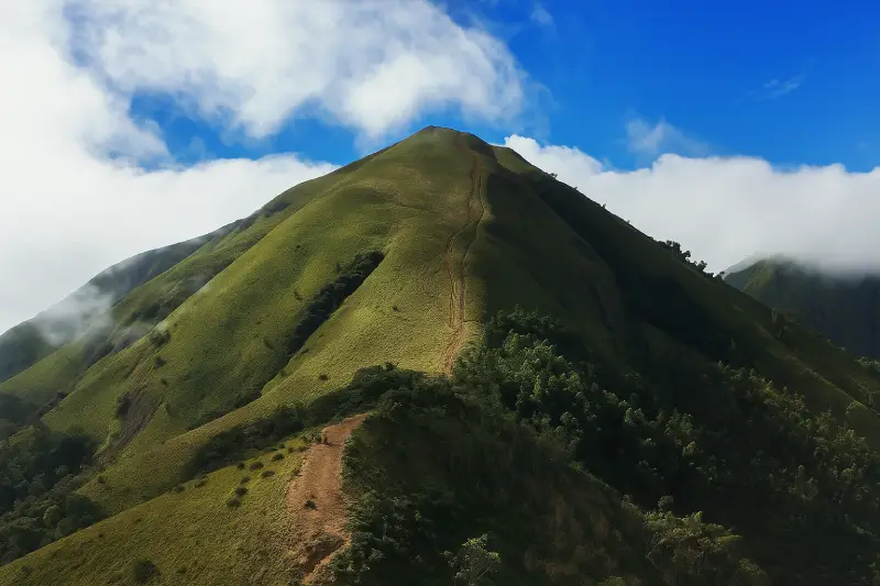 Meesapulimala