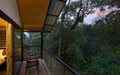 Munnar – 2N /Thekkady – 1N (3 Nights/ 4 Days)