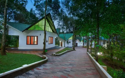 Why Munnar Tour Packages are the Perfect Choice for Your Next Vacation