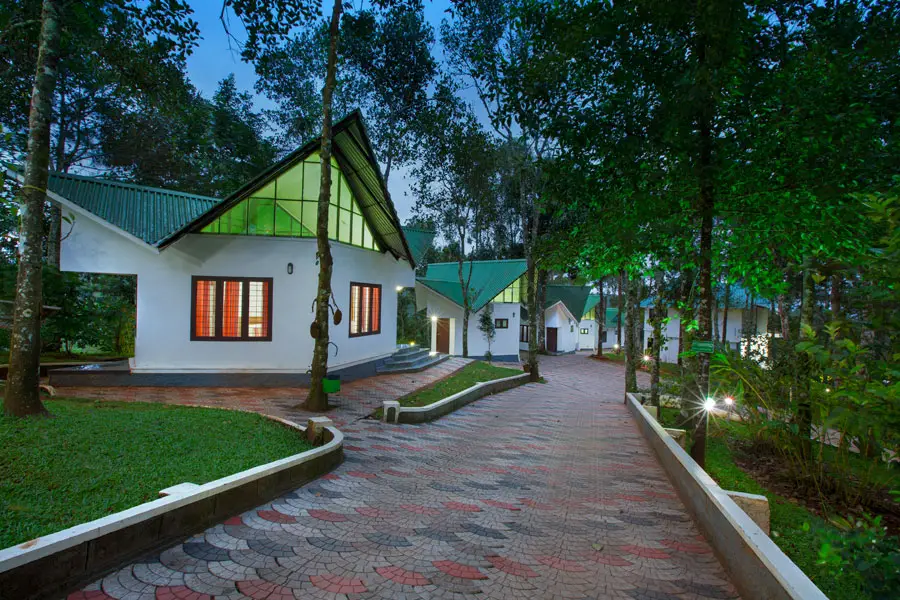 Why Munnar Tour Packages are the Perfect Choice for Your Next Vacation