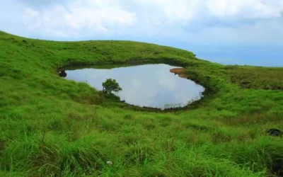 Munnar – 2N / Thekkady – 1N/ Alleppey – 1N (4 Nights/ 5 Days)