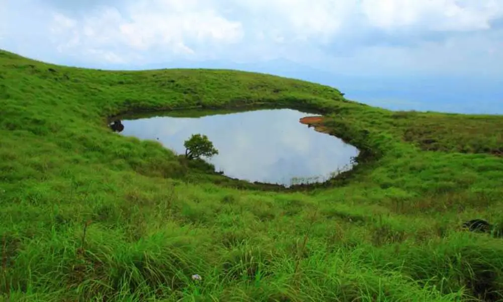 Munnar – 2N / Thekkady – 1N/ Alleppey – 1N (4 Nights/ 5 Days)