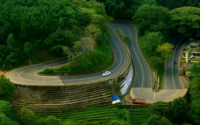 Mysore/Kabini/ Wayanad