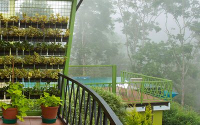 Unwind in Nature’s Lap: A Luxury Escape to Wayanad