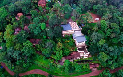 Escape to the Western Ghats: Your Perfect Wayanad Getaway