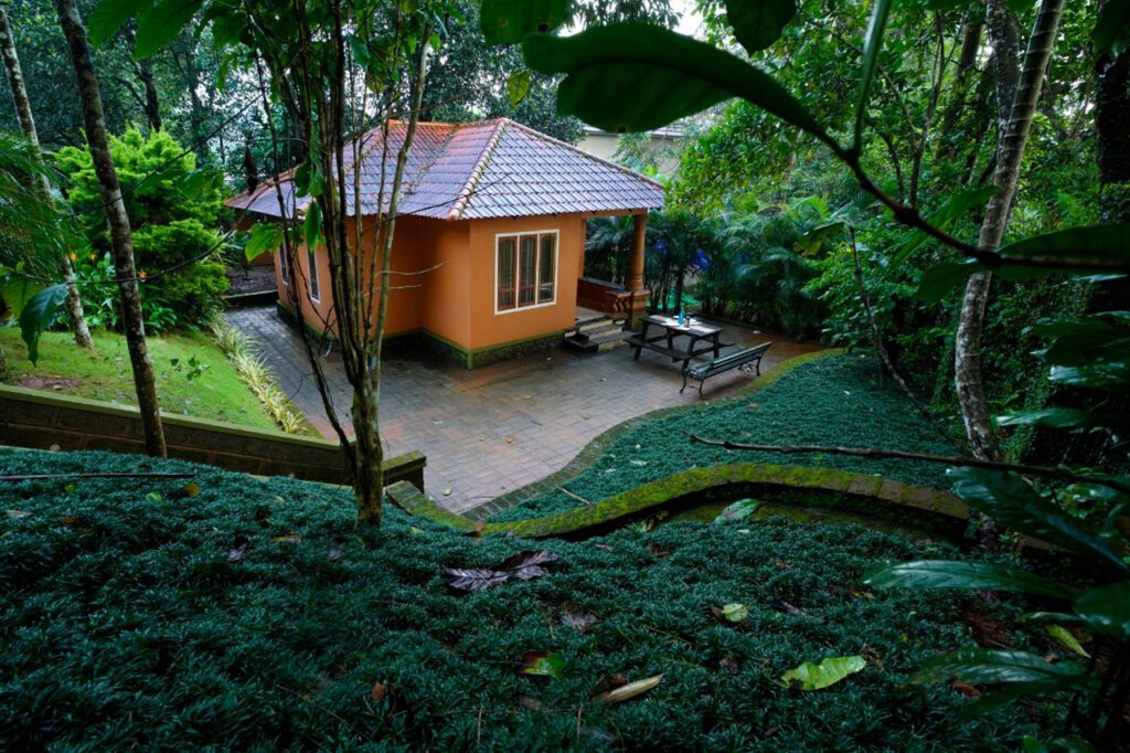 budget resort in vythiri