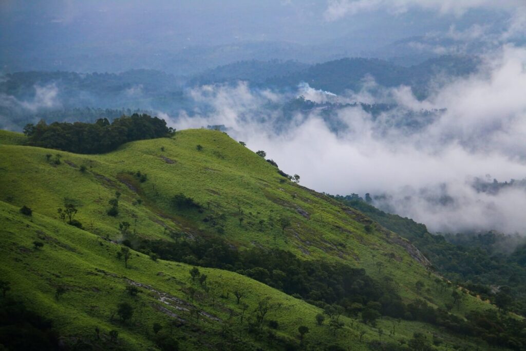 Wayanad Packages