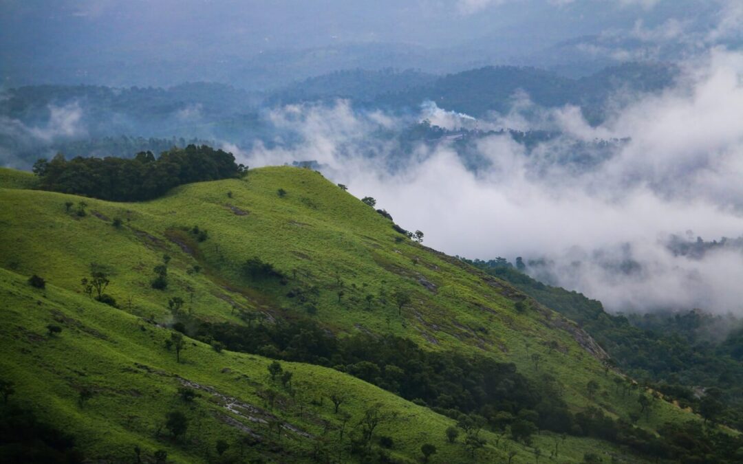 Experience Nature and Comfort in Perfect Harmony