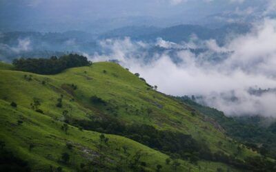 Experience Nature and Comfort in Perfect Harmony