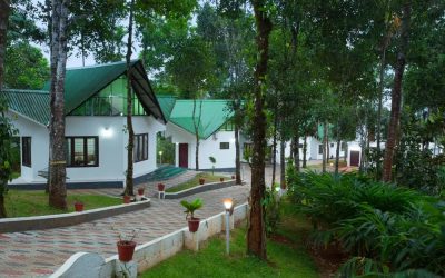 Planning a Relaxing Nature Retreat in Munnar