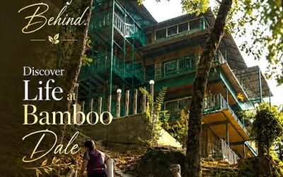 Blog 1 Discover Life at Bamboo Dale — A Nature Resort in Munnar